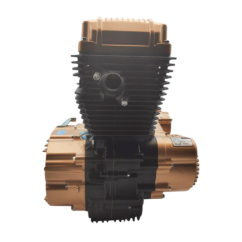 Zongshen CG200cc Single Cylind - đánh giá và giá Engine Parts Motorcycle